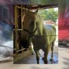 Un cheval du Village Québécois d&rsquo;Antan prend une pause inattendue