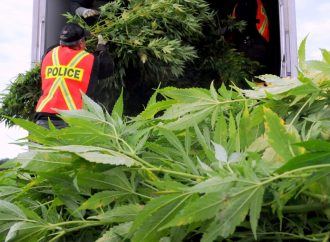 Arrestations : La SQ procède au démantèlement d’un site de production de cannabis illégal au Centre-du-Québec