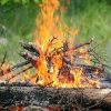 Interdiction de faire des feux à ciel ouvert en forêt ou à proximité