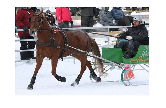 Fête d’hiver et derby d’attelage à Sainte-Clotilde-de-Horton le 9 février