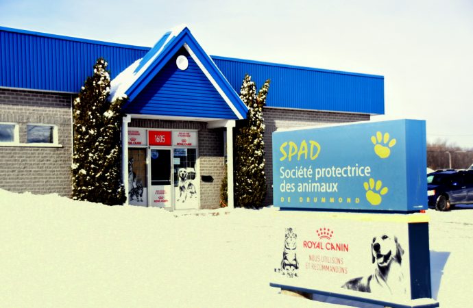 Une annonce qui a du chien pour la Société protectrice des animaux de Drummond (SPAD)