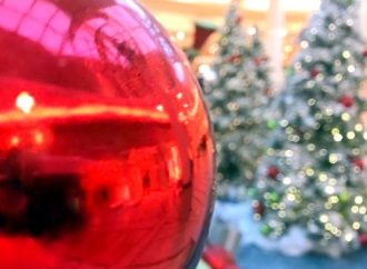 Raconte-moi l’histoire…  Le premier arbre de Noël au Canada, par André Pelchat