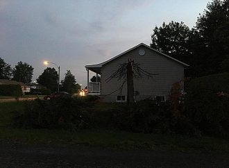 Frappé deux fois par la foudre-Un couple se fait scier un sapin en deux par un éclair