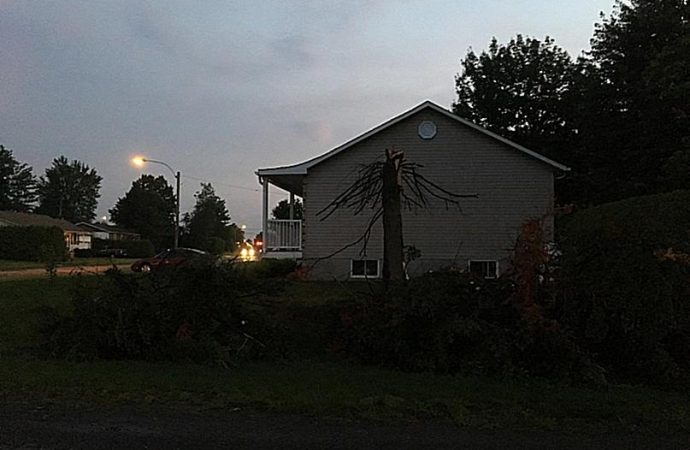Frappé deux fois par la foudre-Un couple se fait scier un sapin en deux par un éclair