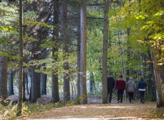 La MRC de Drummond déposera une offre pour l’acquisition de la Forêt Drummond