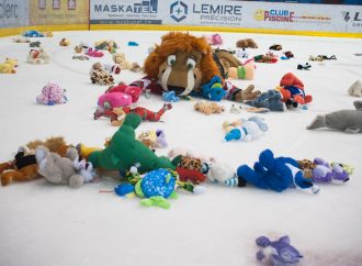 Voltigeurs de Drummondville: Novembre, mois d’appréciation des jeunes fans