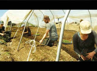 Projection du documentaire «La ferme et son État» dans le cadre des Rendez-vous Québec Cinéma à la Maison de la Culture de L’Avenir