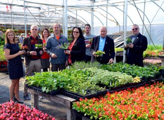 De nouvelles serres poussent en ville – TERRE NATURE double sa production