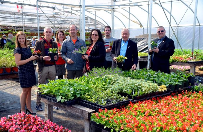 De nouvelles serres poussent en ville – TERRE NATURE double sa production