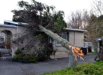 Les vents violents causent plusieurs dommages et pannes dans la MRC de Drummond