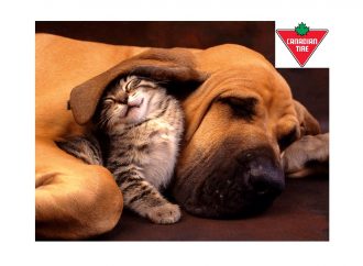 Canadian Tire introduit Petco au Canada, un favori des propriétaires d&rsquo;animaux de compagnie