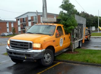 Un camion volé par un «cascadeur» à Drummondville?