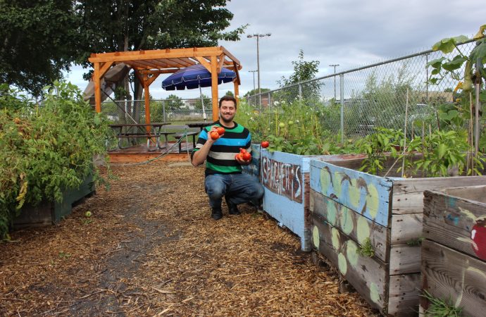 Les «cambrioleurs de légumes» en voie de disparition au jardin communautaire