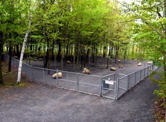 Inauguration du parc canin Hôpital Vétérinaire Caouette et Rochon, une nouvelle installation pour la population