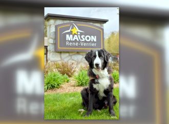 Une première au Québec – Un chien MIRA dans une maison de soins palliatifs