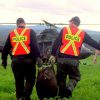 Opération et perquisition de la Sûreté du Québec, des Forces armées canadiennes et de la GRC