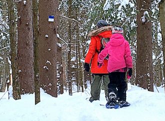 Journée d’hiver Sépaq 2020 – Accès gratuit à une nature amusante et apaisante