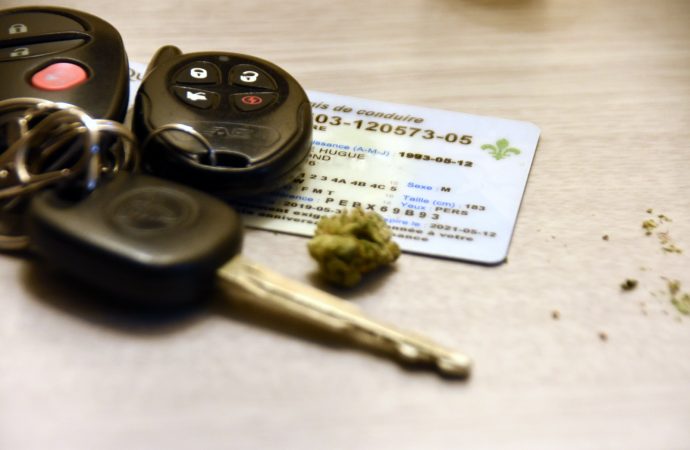 Les jeunes font des choix dangereux en ce qui concerne le cannabis au volant