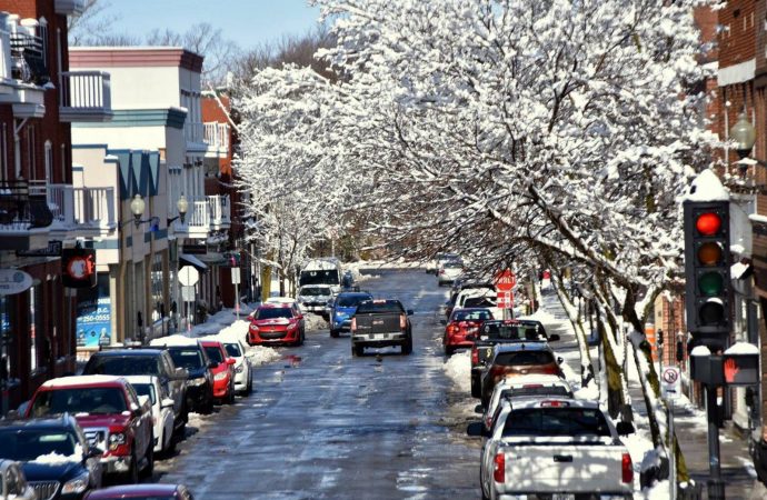 La Ville de Drummondville adopte une Politique de l’arbre ambitieuse