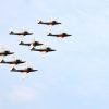 Une femme membre de l’équipe des Snowbirds perd la vie dans l’écrasement d’un avion de l’équipe acrobatique des Forces canadiennes