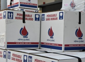 Dons de sang : Fin de la discrimination à l’égard des donneurs homosexuels