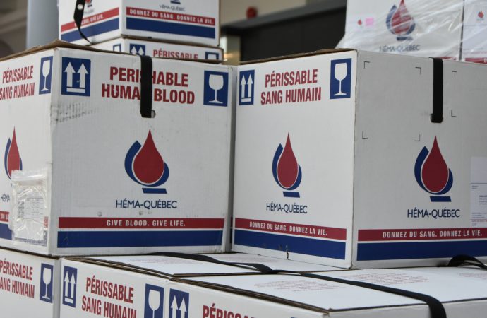 Dons de sang : Fin de la discrimination à l’égard des donneurs homosexuels