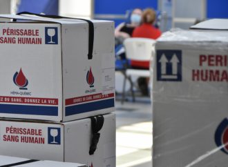 La réserve de sang est basse – Héma-Québec a besoin de 400 donneurs de plus par jour