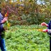 Une entreprise de L’Avenir soutenue dans son développement par L’ARTERRE