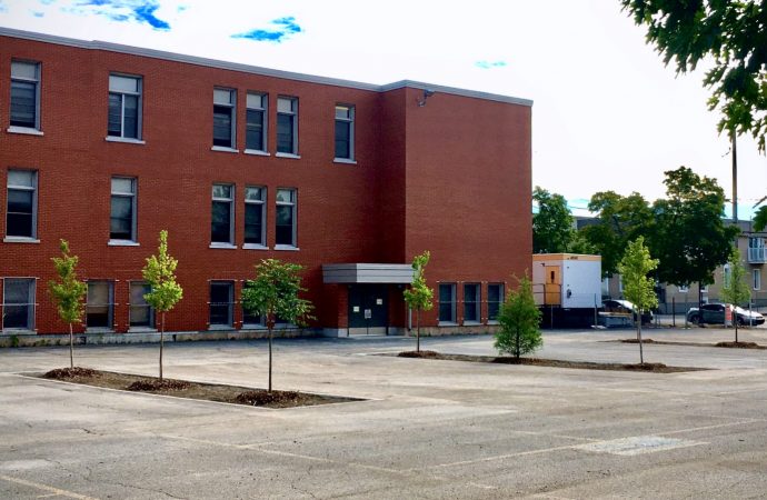 Lutte aux ilots de chaleurs urbains – Le CRECQ offre un coup de fraicheur à Drummondville
