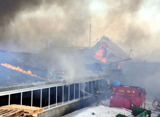 Incendie majeur à Sainte-Clotilde-de-Horton – Les pompiers en renfort pour sauver les animaux