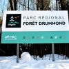 Plus de 300 000 $ pour les milieux naturels dans le parc régional de la Forêt Drummond