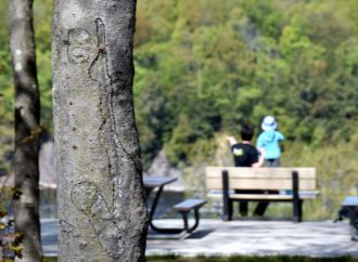 Une première au Québec – Le CRECQ innove avec un projet dans le but de prévenir le déclin prématuré de nos forêts