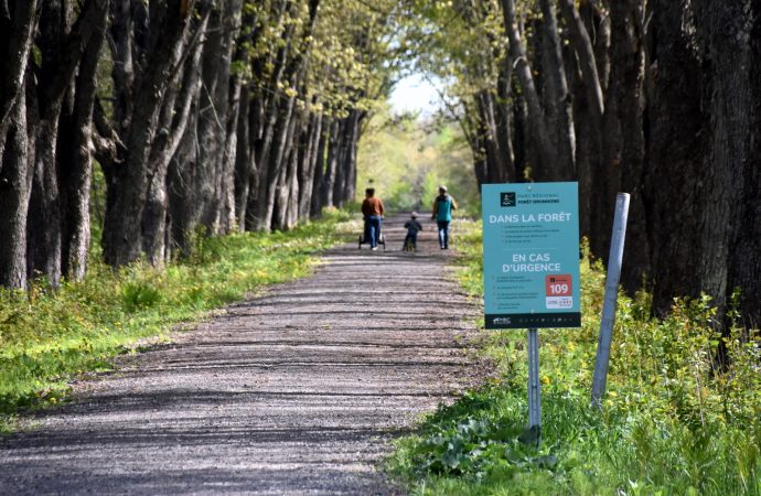 Randonnée pédestre et de vélo : le parc régional de la Forêt Drummond prêt pour la saison estivale!