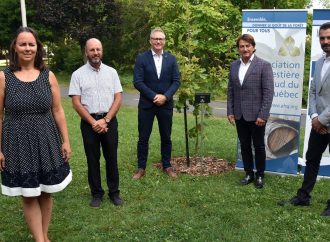 Drummondville accueille un arbre en l’honneur des 75 ans de l’Association forestière du sud du Québec
