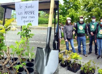 Campagne de distribution d’arbres « je plante un arbre pour mon quartier » à Drummondville