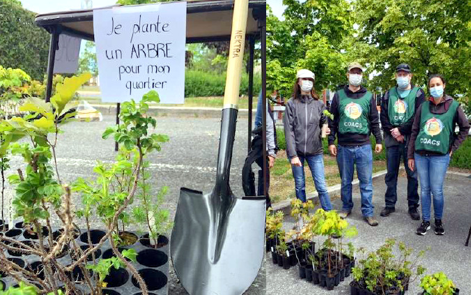 Campagne de distribution d’arbres « je plante un arbre pour mon quartier » à Drummondville