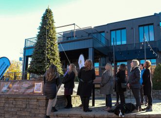 La Fondation René-Verrier et Nmédia, lancent un tout nouveau concept numérique avec la campagne « Brillons DON ensemble ! »