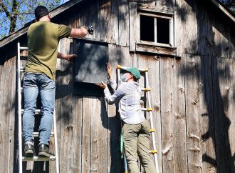 Le CRECQ mobilise des citoyens du Centre-du-Québec pour la conservation des chauves-souris