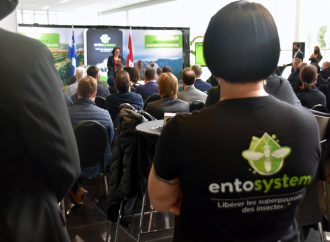 Usine de farine d’insectes : Entosystem propulse une nouvelle filière d’avenir et s’installe à Drummondville