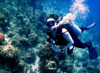 Apprendre la plongée sous-marine ? J’y pense! …La chronique plein air de Sara Marquis