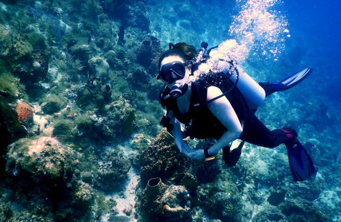 Apprendre la plongée sous-marine ? J’y pense! …La chronique plein air de Sara Marquis