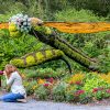 Jardin botanique surdimensionné – Plongez dans l’univers enchanteur du Parc Marie-Victorin de Kingsey Falls