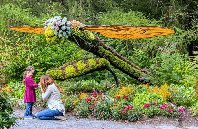 Jardin botanique surdimensionné – Plongez dans l’univers enchanteur du Parc Marie-Victorin de Kingsey Falls