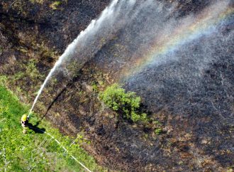 Feux de forêt – Québec annonce des mesures pour favoriser la récupération du bois brûlé