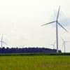 Une pétition de plus de 400 signatures déposée à Durham-Sud pour réclamer un moratoire sur les projets d&rsquo;éoliennes