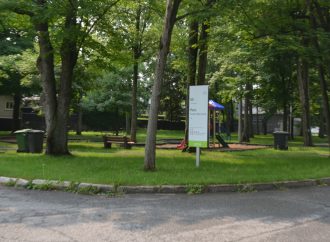 La présence d’un renard roux à proximité des parcs inquiète des citoyens de Drummondville