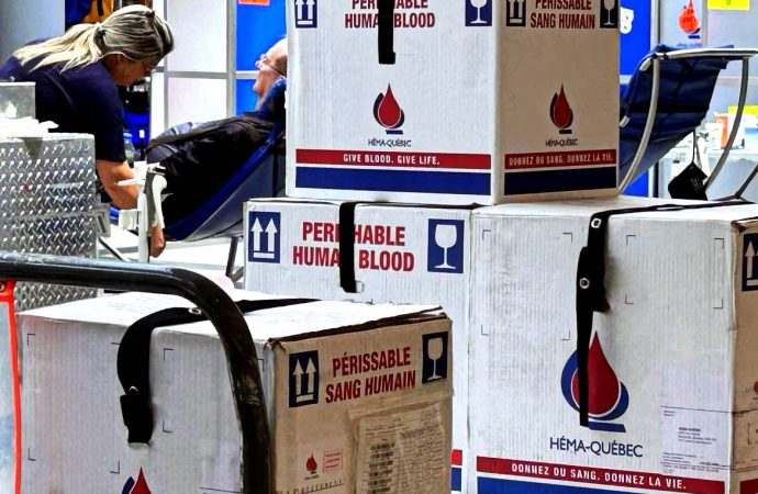 Groupes sanguins  O+ et O- : Héma-Québec lance un appel urgent à la générosité pour les dons de sang