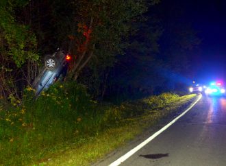 Alcool au volant et vitesse : un conducteur s’est retrouvé « perché » dans un arbre après une embardée