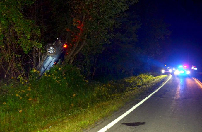 Alcool au volant et vitesse : un conducteur s’est retrouvé « perché » dans un arbre après une embardée