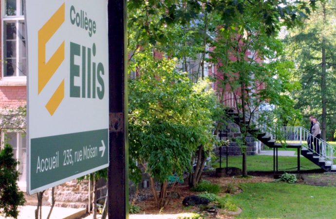 Arnaque amoureuse, hameçonnage ou fraude de type grands-parents, des étudiants du Collège Ellis lancent un projet pour contrer les fraudes